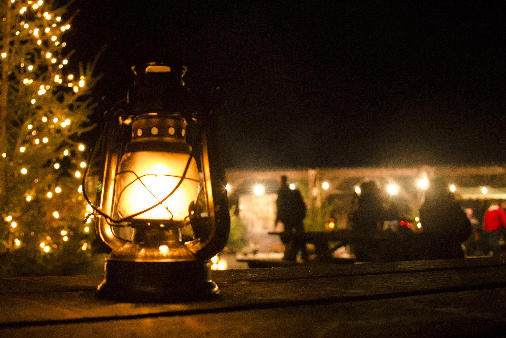 Samen Wandelen in de Oude Warande
